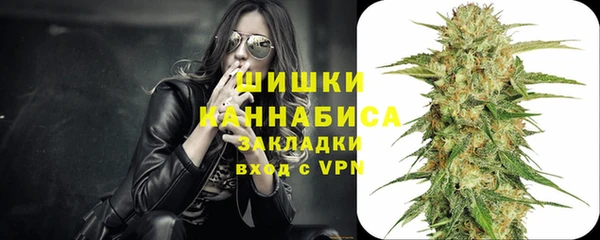 эйфоретик Новодвинск