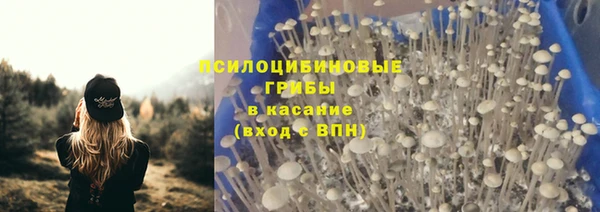 ECSTASY Новозыбков