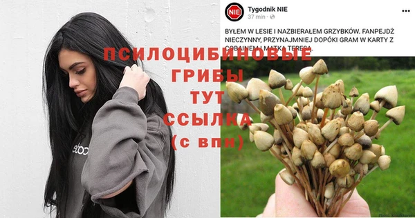 эйфоретик Новодвинск