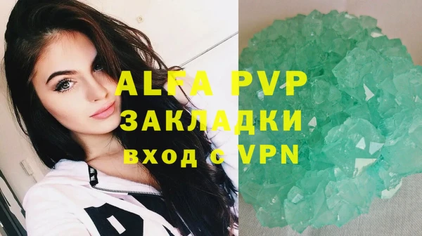 ECSTASY Новозыбков