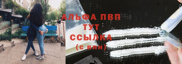 ECSTASY Новозыбков
