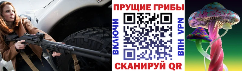 Псилоцибиновые грибы Cubensis  Алушта 