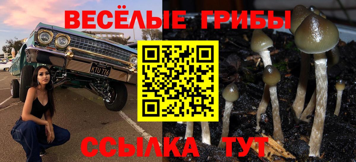 Псилоцибиновые грибы Cubensis  Псилоцибиновые грибы мицелий  Вход с VPN  Алушта 