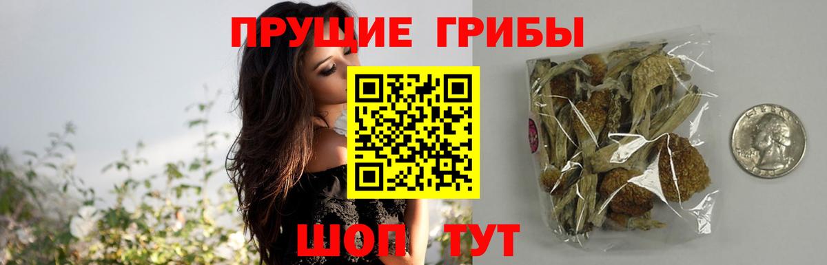 Псилоцибиновые грибы мухоморы Алушта